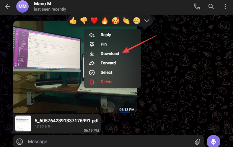 新手课堂，Telegram文件存储在哪个文件夹？