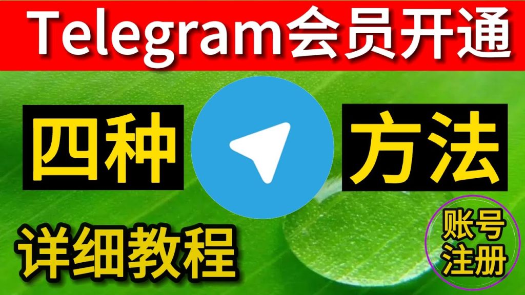 Telegram Premium开通指南